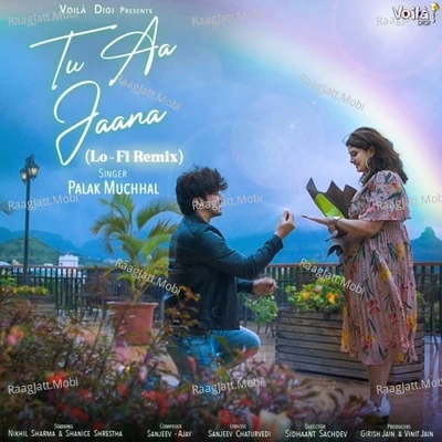 Tu Aa Jaana (Lo-Fi Remix) - Palak Muchhal 